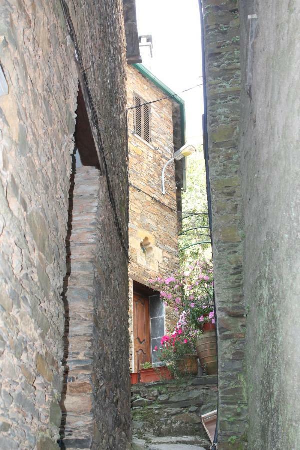 Sobral de Sao Miguel Casa Da Sobreira 빌라 외부 사진